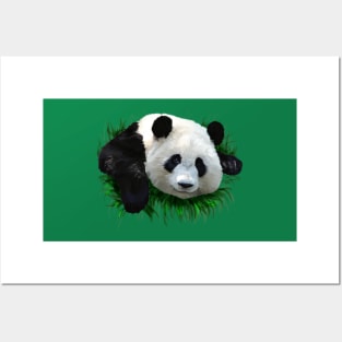 Panda Posters and Art